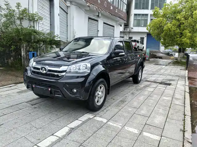 GREAT WALL FENGJUN 5