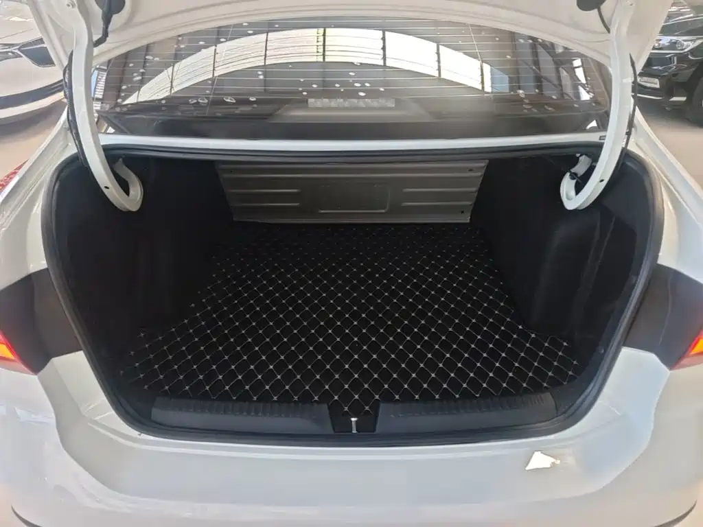 Фото 19 - Jetta VA3