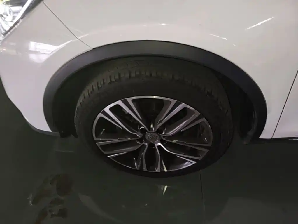 BYD Tang 2019 2018 2.0T Automatic Smart Connection Honor Edition 7-Seater China V
