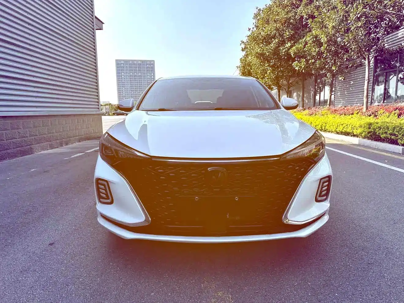 Фото 2 - Changan Eado