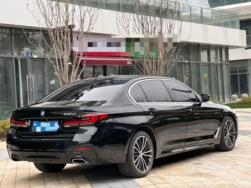 BMW 5 Series 2020 530Li Leading M Sport Package фото 8