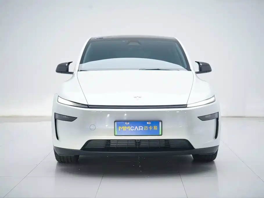 Фото 1 - Tesla Model Y