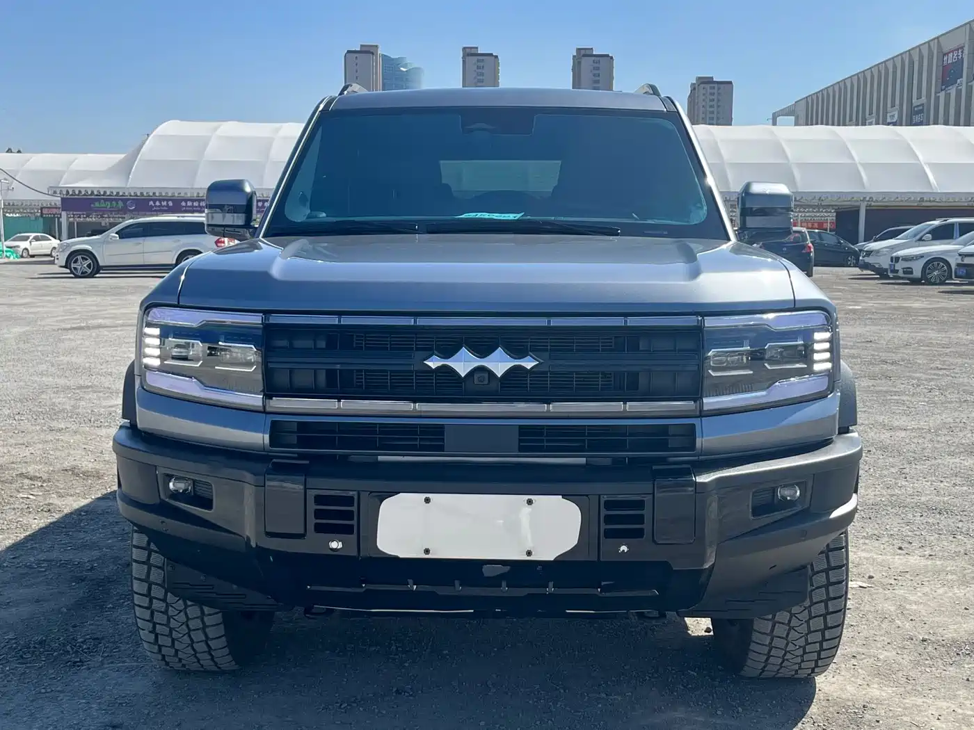 FANG CHENG BAO LEOPARD 5