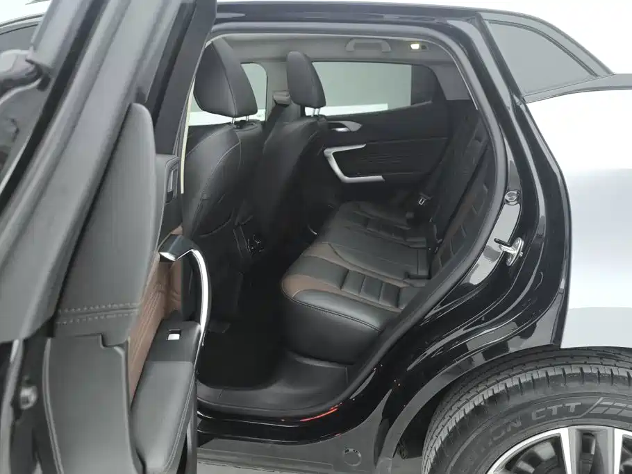 WEY VV5 2021 2021 1.5T 2WD Smart Pioneer