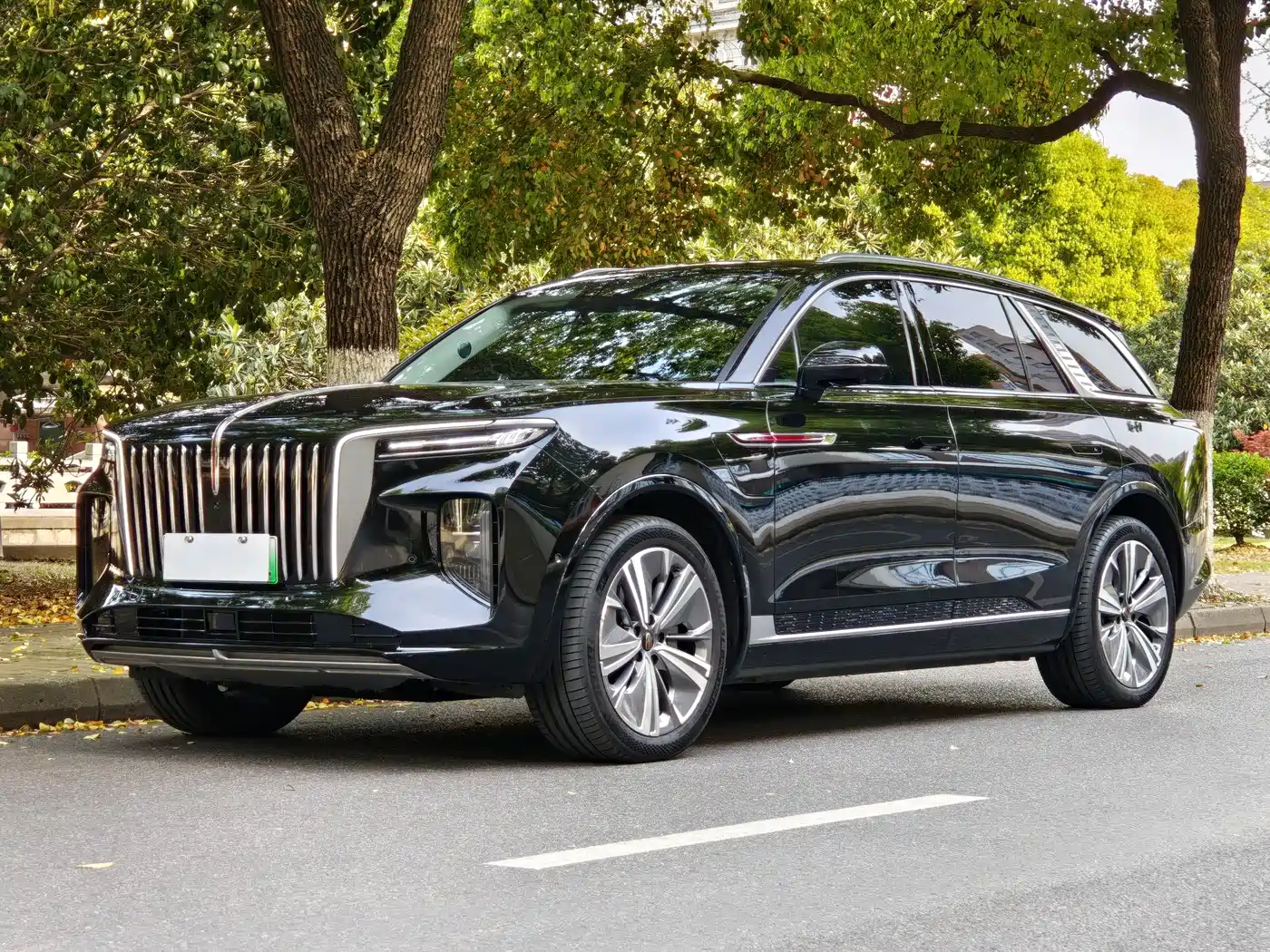 Hongqi HONGQI E HS9