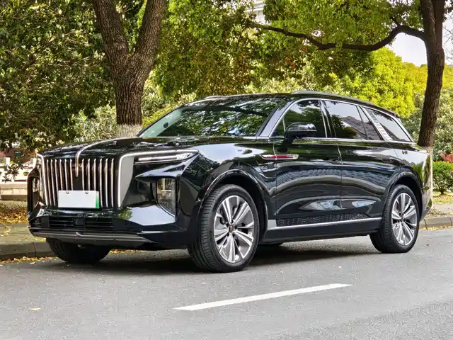 hongqi hongqi-e-hs9