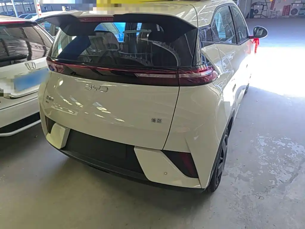 BYD Seagull 2026 2025 Smart Drive Edition 305km Vitality Version