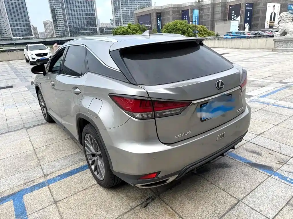 Фото 5 - Lexus RX