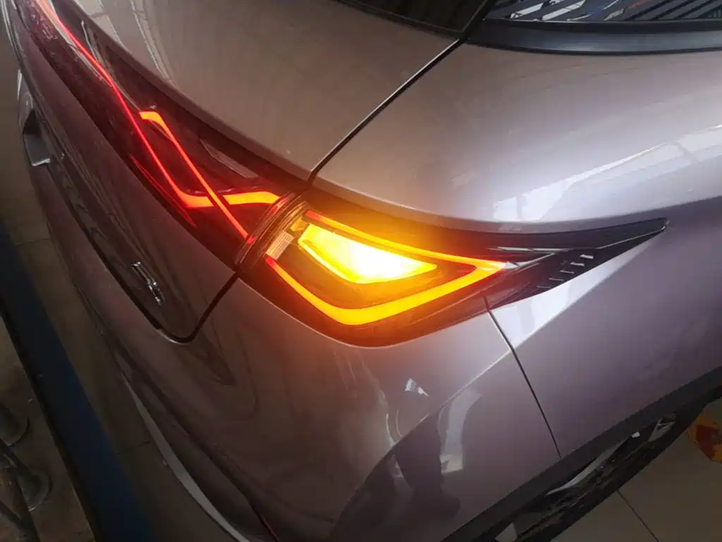BYD Dolphin 2022 2021 Model 405km Fashion Edition