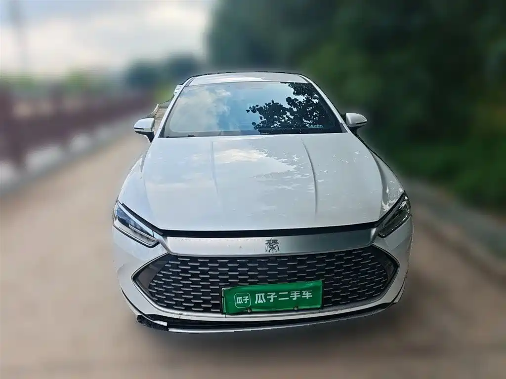 BYD Qin PLUS 2023 Champion Edition DM-i 55KM Leading фото 24