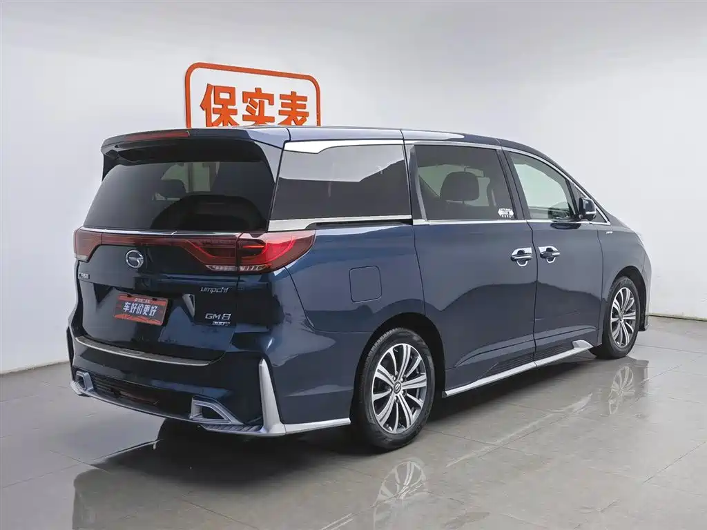 GAC Trumpchi Trumpchi M8 2020 Master Edition 390T Ultimate фото 2