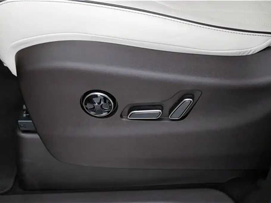 Denza D9 2024 DM-i 980 AWD Flagship фото 26