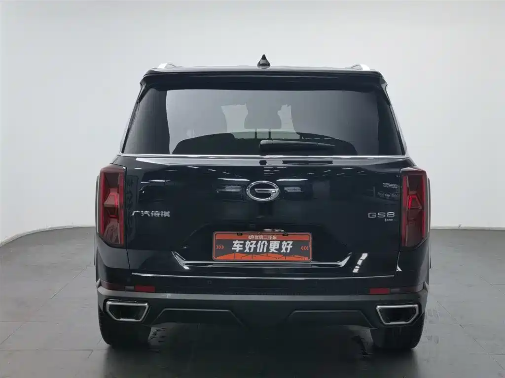 GAC Trumpchi Trumpchi GS8 2022 Pilot Series 2.0TGDI 2WD Premium Edition (7-Seater) фото 4