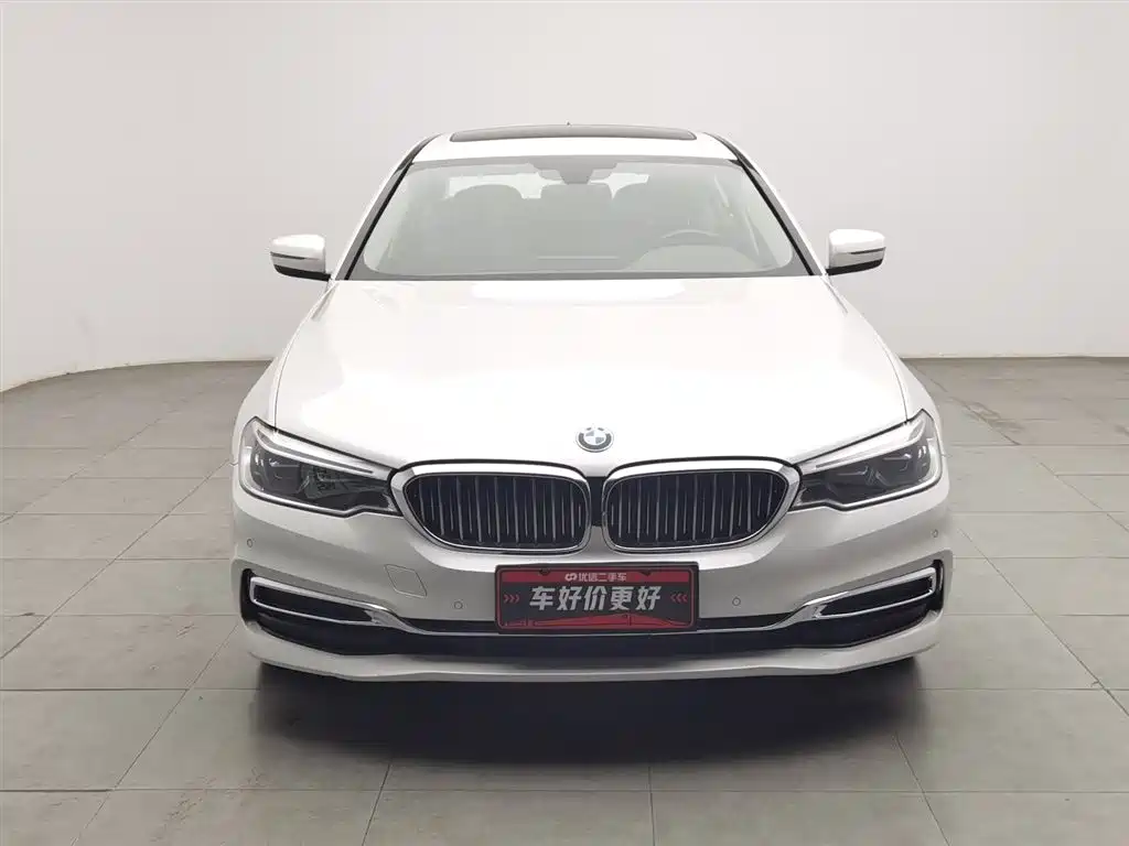 BMW 5 Series 2020 530Li Leading Luxury Package фото 3
