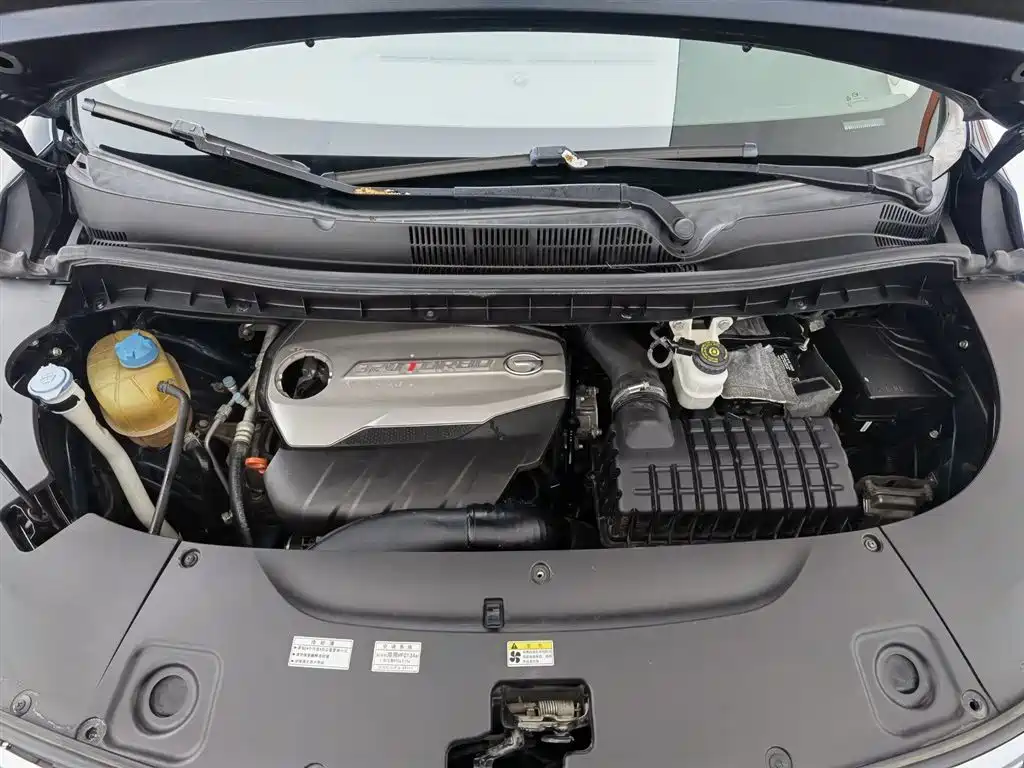 GAC Trumpchi Trumpchi M8 2018 320T Premium Edition фото 6