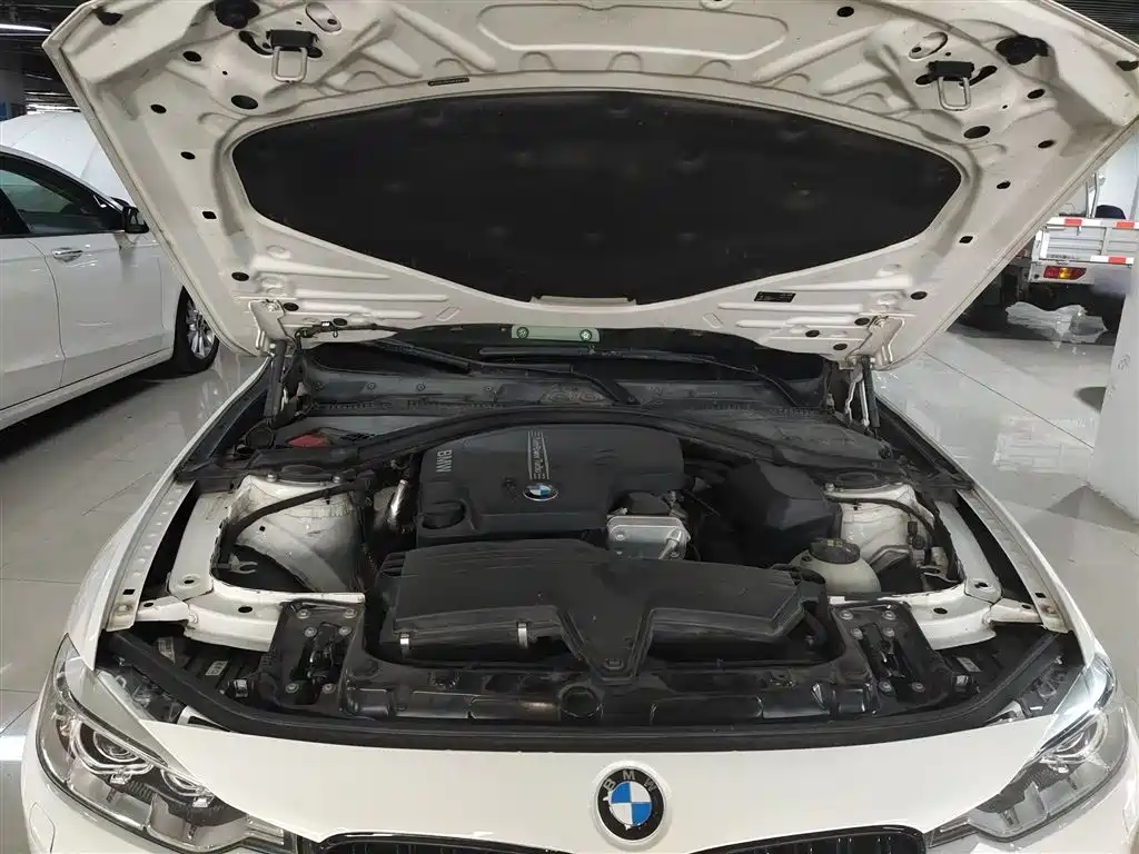 BMW 3 Series 2015 320Li Super Joy Fashion фото 13