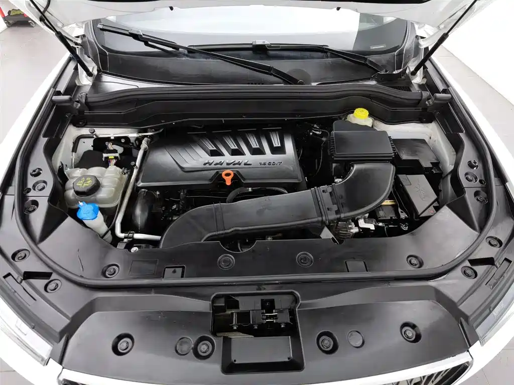 Haval H6 2021 1.5GDIT Automatic Champion Edition фото 6