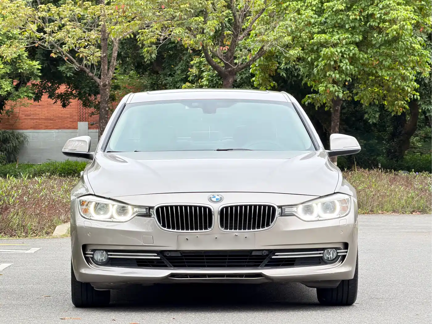 BMW 3 Series 2013 320Li Luxury Design Package фото 2