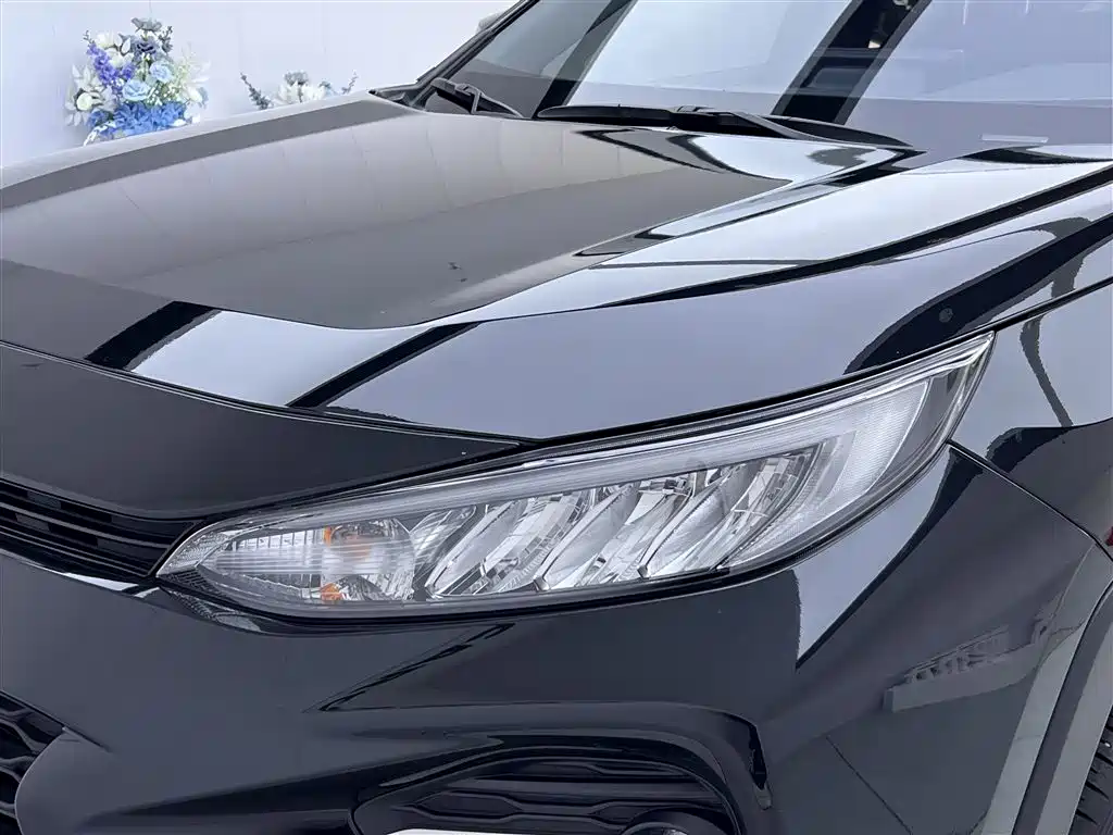 TOYOTA WILANDA