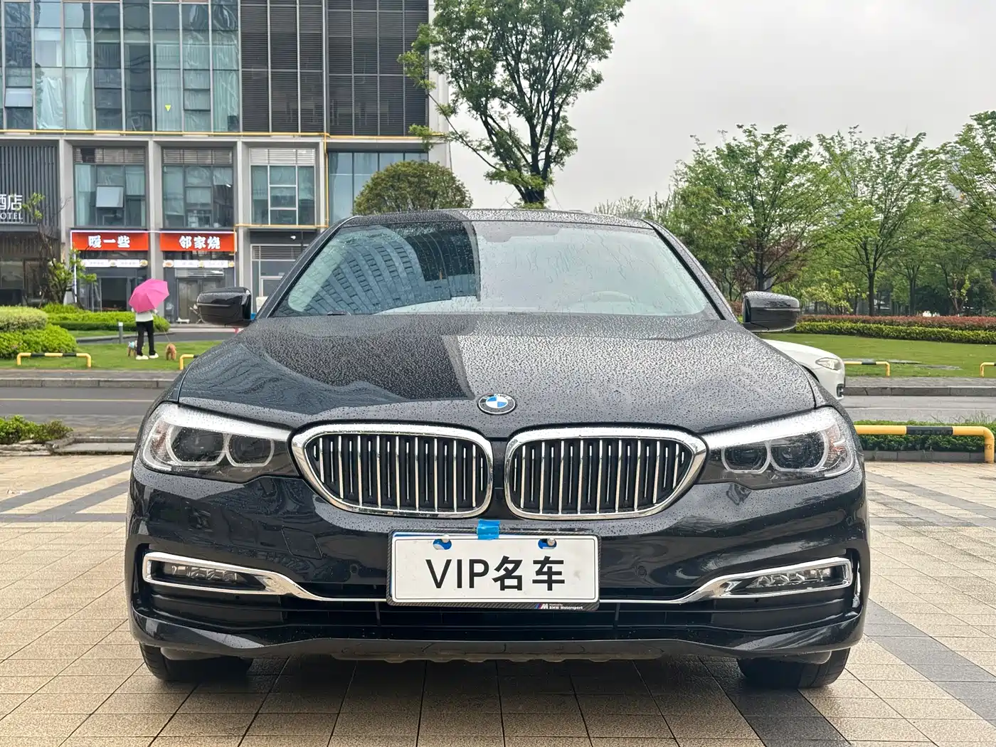 BMW 5 Series 2019 525Li Luxury Package фото 2