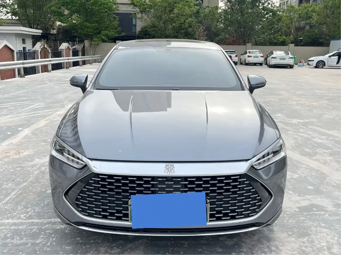 BYD Qin PLUS 2021 DM-i 55KM Premium фото 2