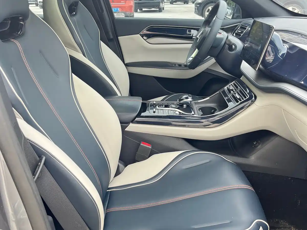 BYD Qin PLUS 2021 DM-i 55KM Premium фото 8