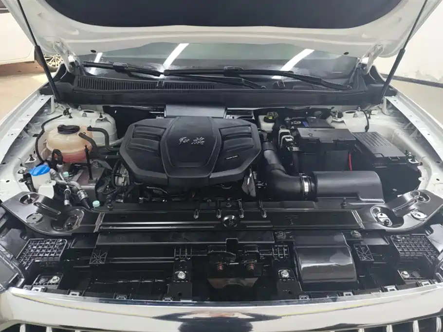 Hongqi HS5 2019 2.0T Intelligent Flagship 4WD Version фото 10