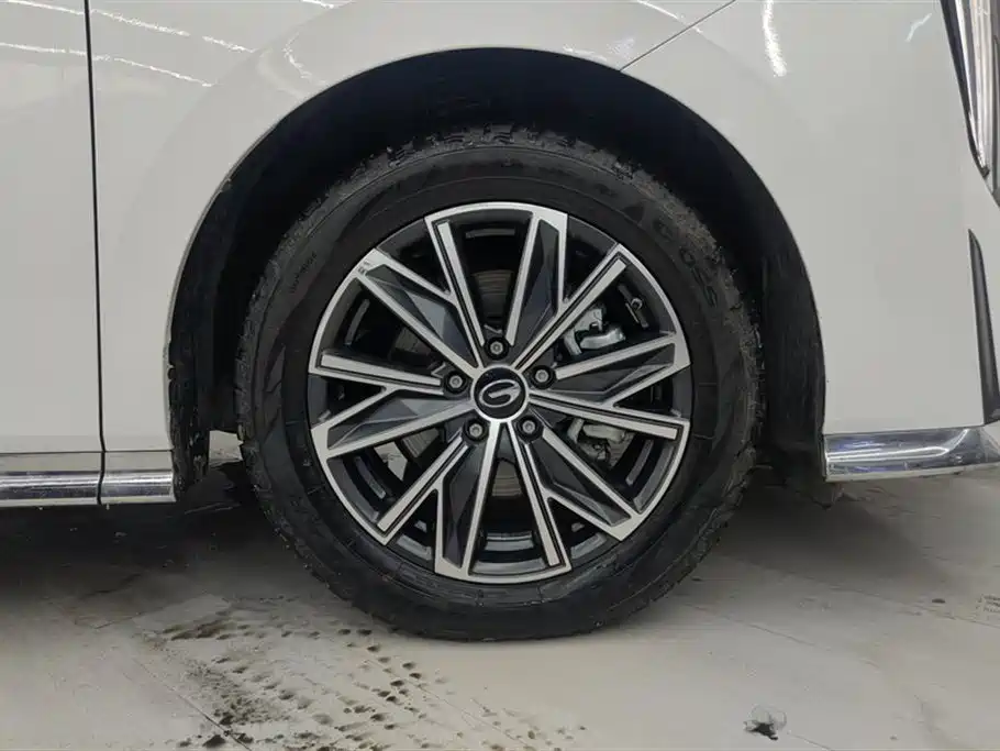 GAC Trumpchi Trumpchi M8 2024 Master Series 400T Premium Edition фото 6