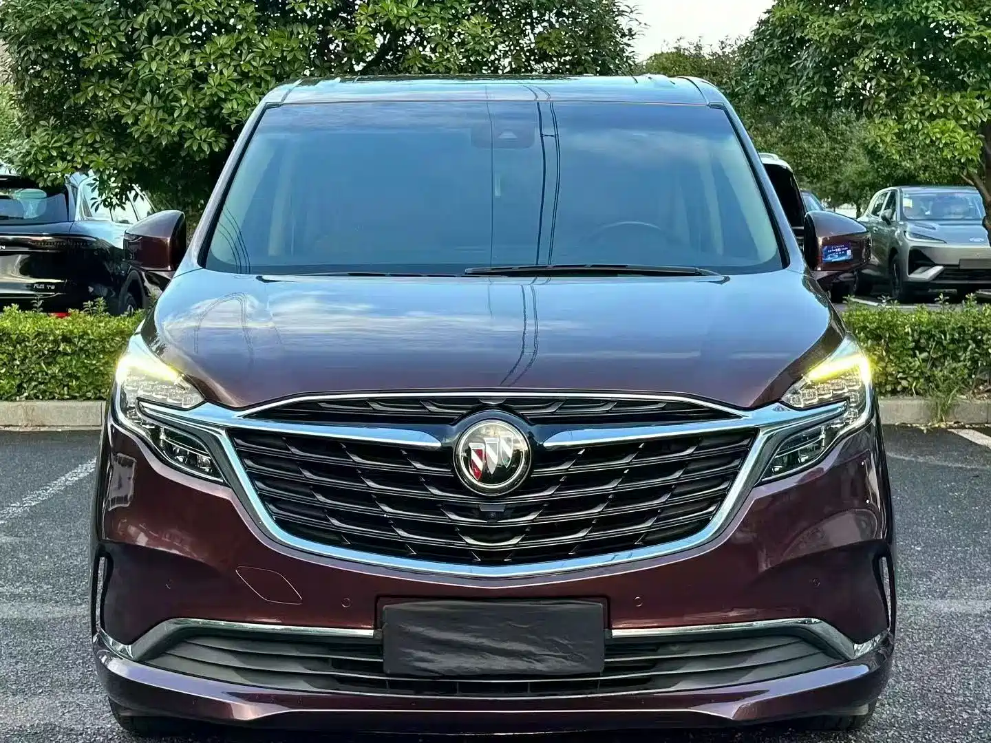 Фото 1 - Buick GL8