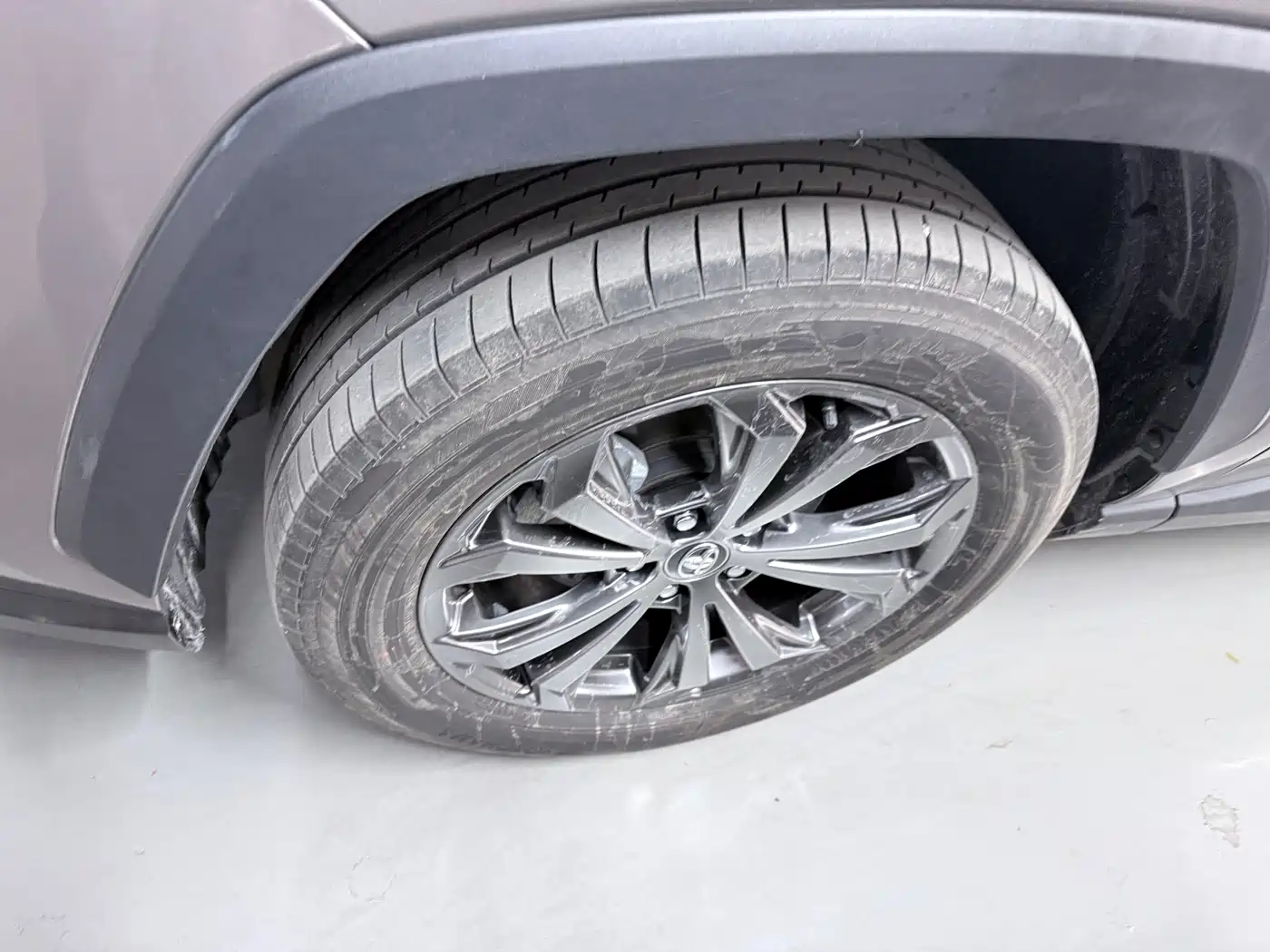 Toyota RAV4 Rongfang 2024 2.0L CVT FWD Style Plus Edition фото 5