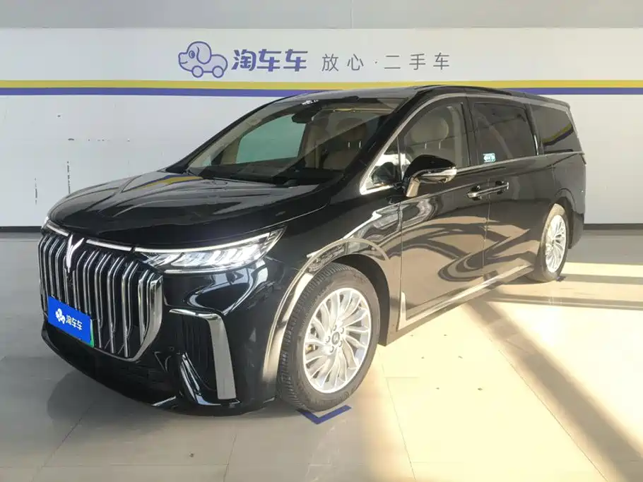 Voyah Auto Voyah Dreamer