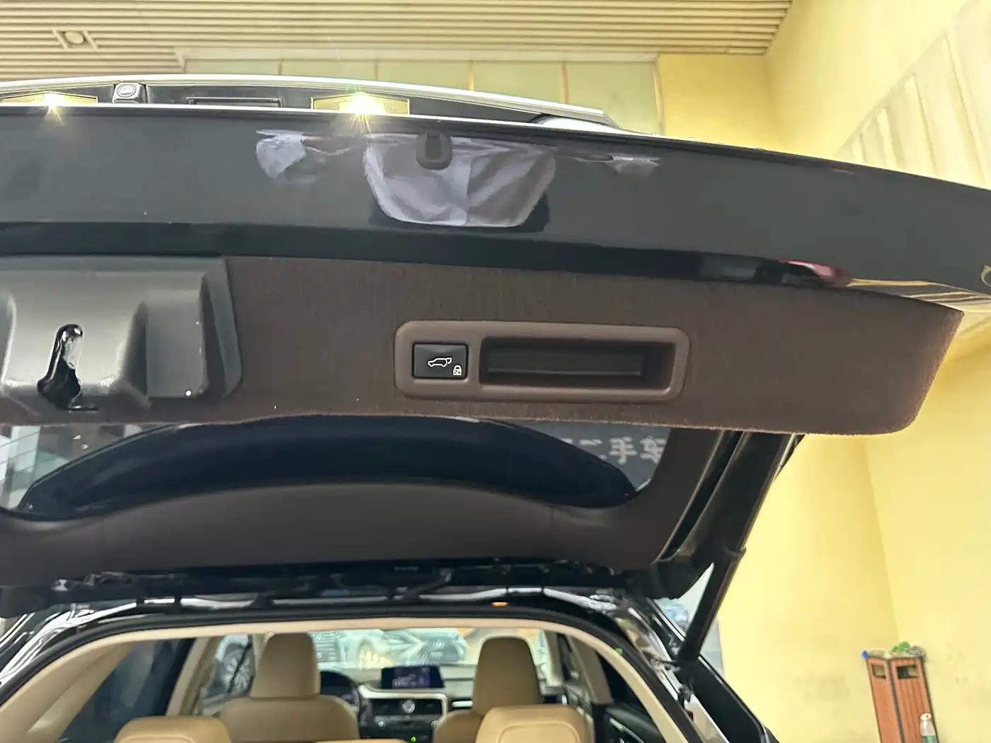 Lexus RX 2016 450h 4WD Luxury Edition фото 23