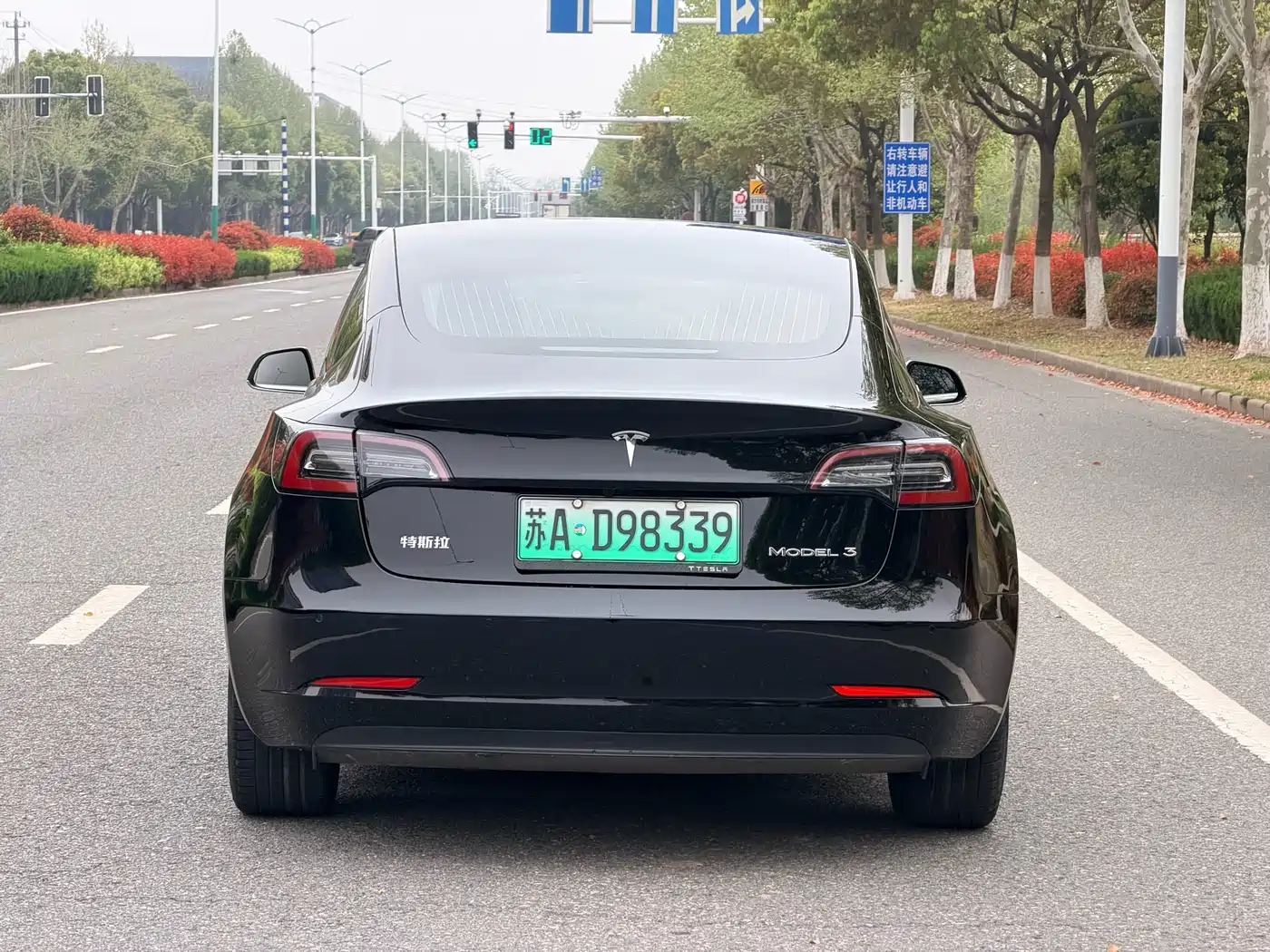 TESLA MODEL 3