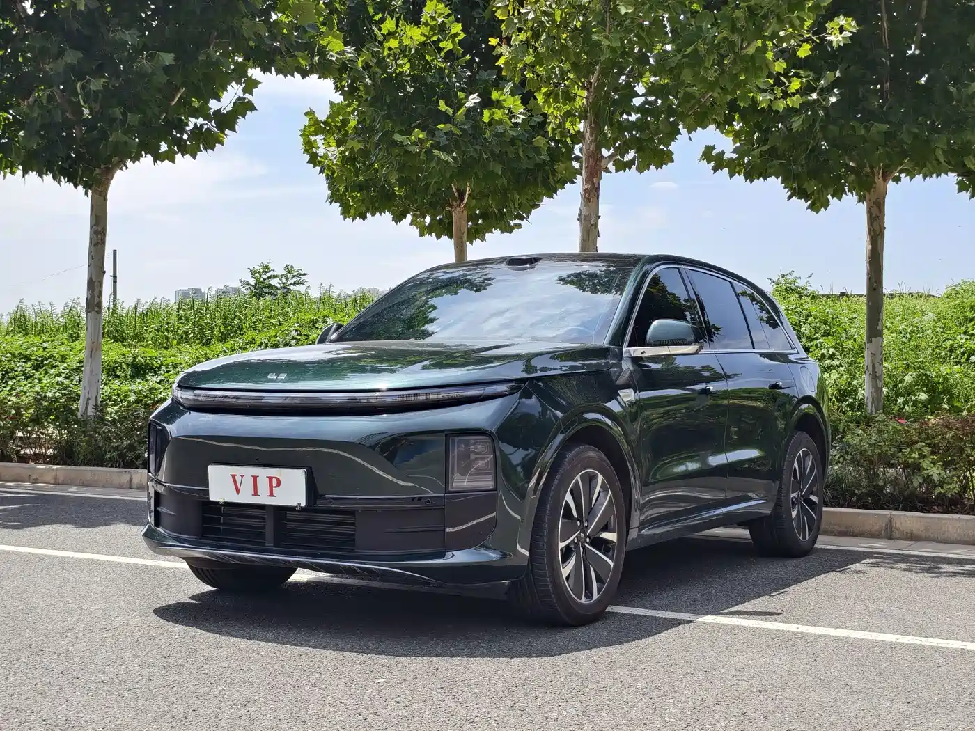 Li Auto L6