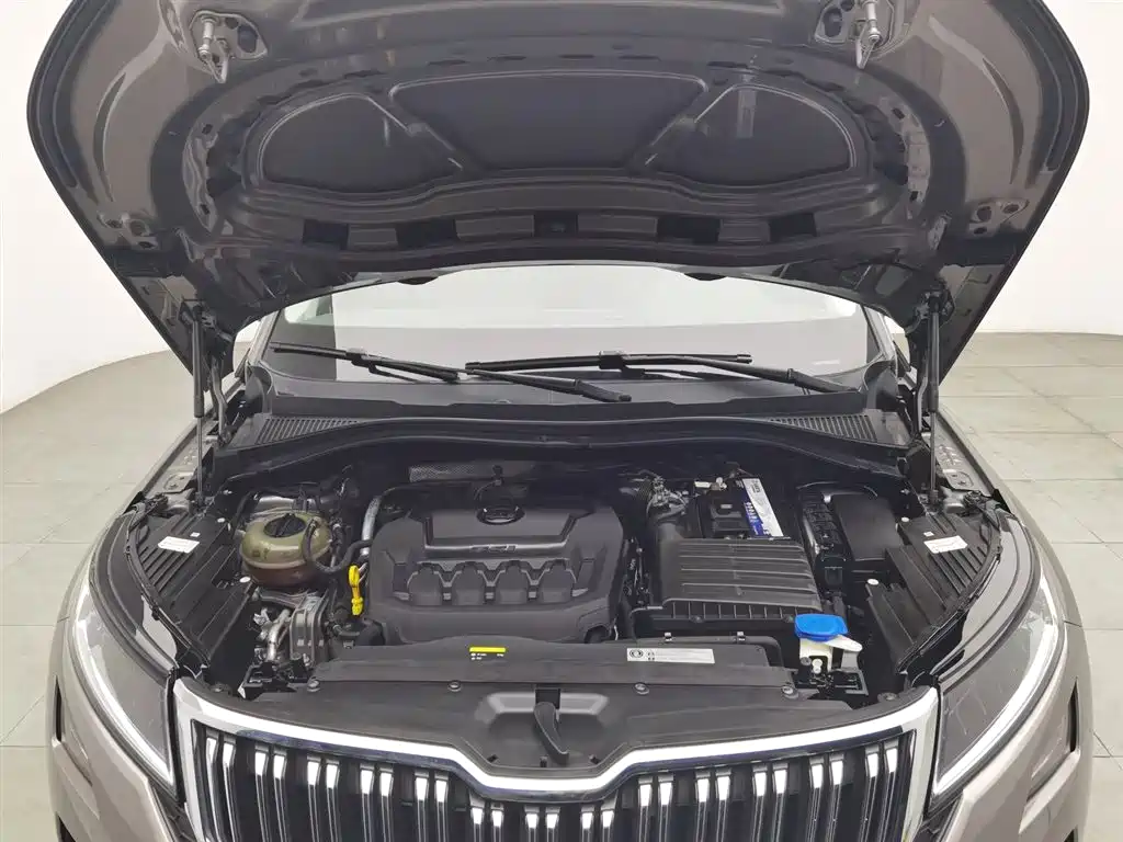 Škoda Kodiaq GT 2019 TSI330 2WD Luxury Edition China V фото 6