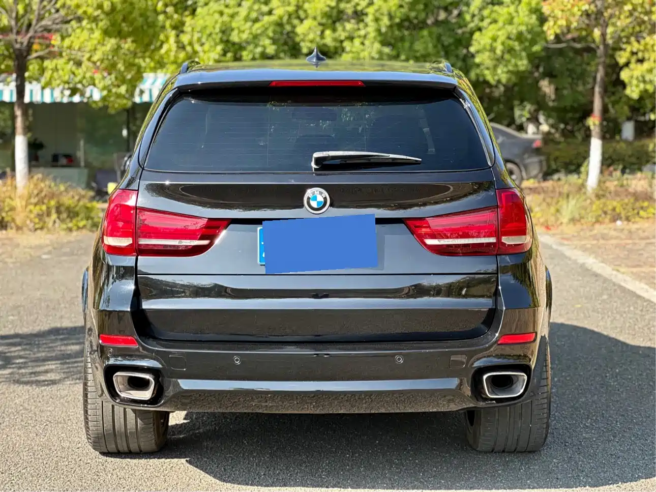 BMW X5 (Import) 2017 xDrive35i Leading Edition фото 24