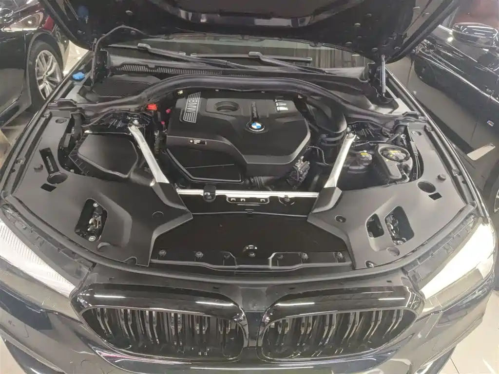 BMW 5 Series 2019 530Li Leading M Sport Package фото 20