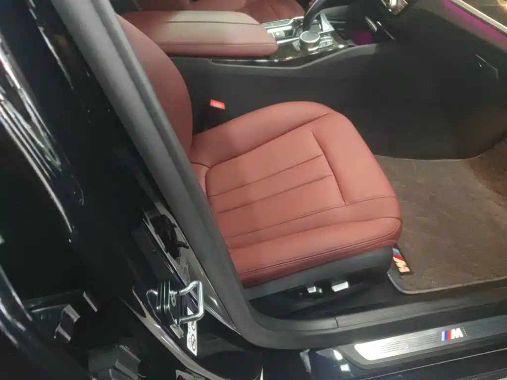 BMW 5 Series 2019 530Li Leading M Sport Package фото 25
