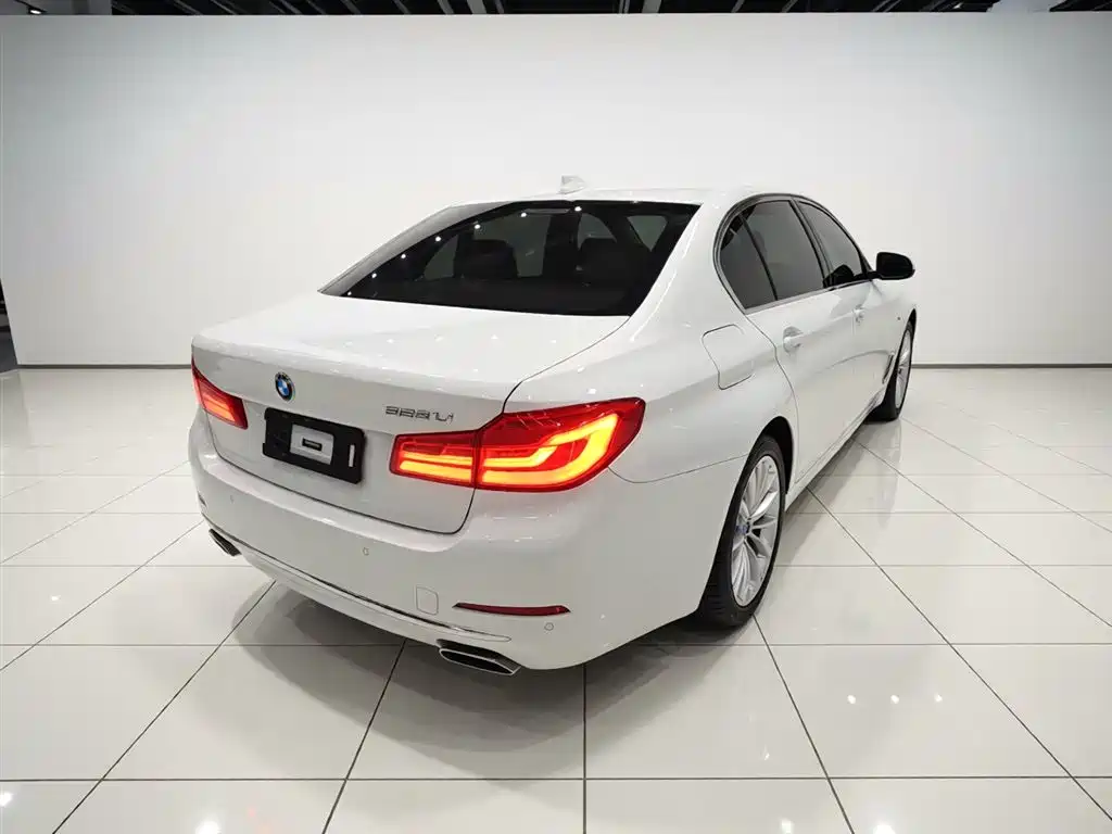 BMW 5 Series 2019 525Li Luxury Package фото 7