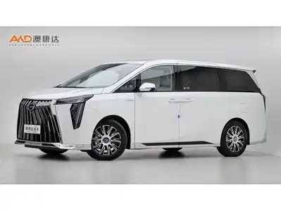 Trumpchi E9