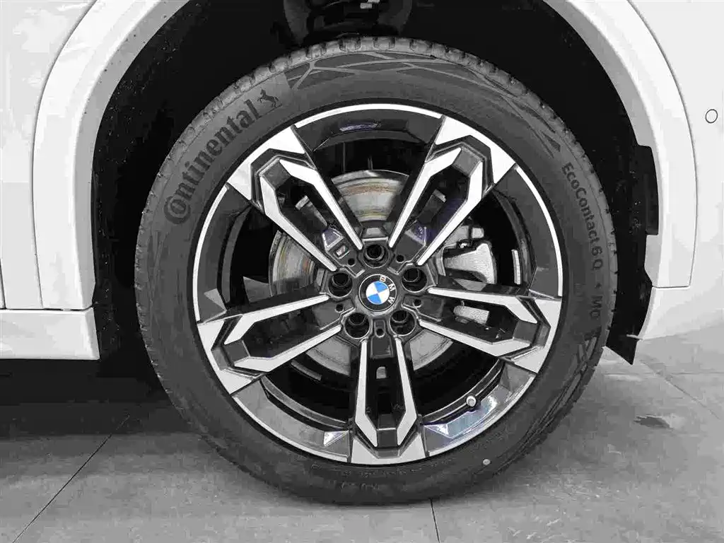 BMW X2 (Import) 2024 sDrive25i M Sport Package фото 20