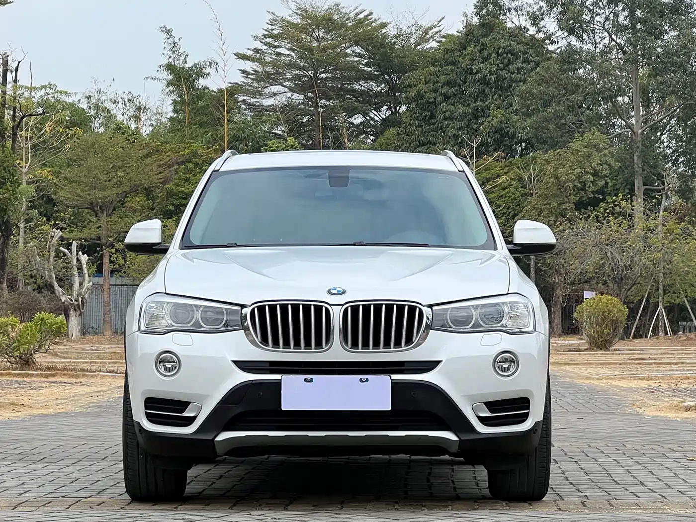 BMW X3 (Import) 2014 xDrive20i X Design Package фото 2