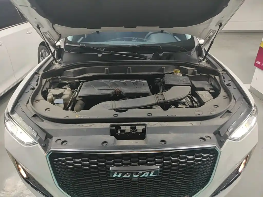 Haval F5 2020 2019 National Trend Edition 1.5T iTrend China VI