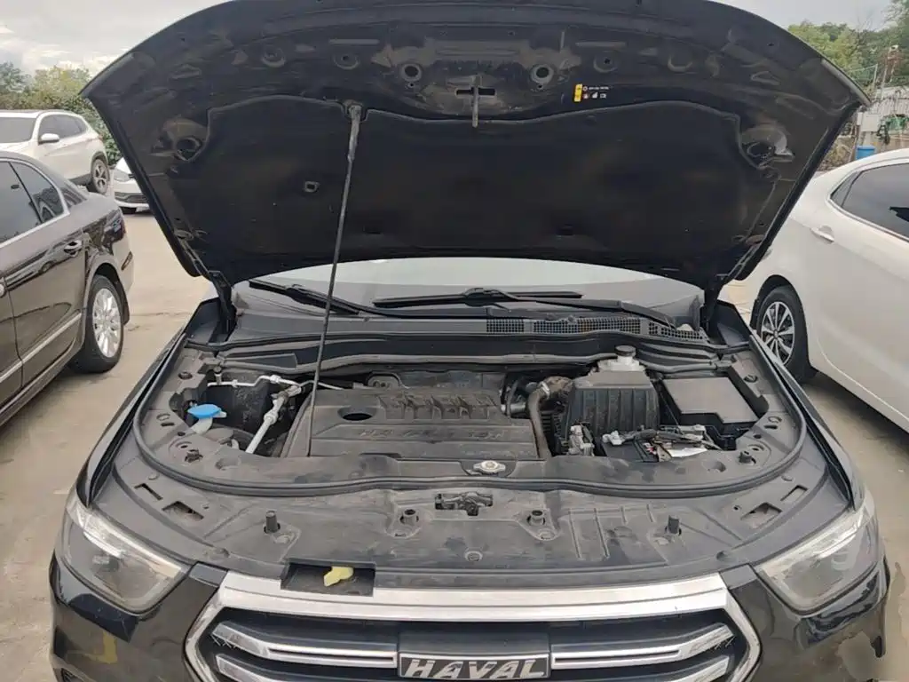 Фото 20 - Haval H6