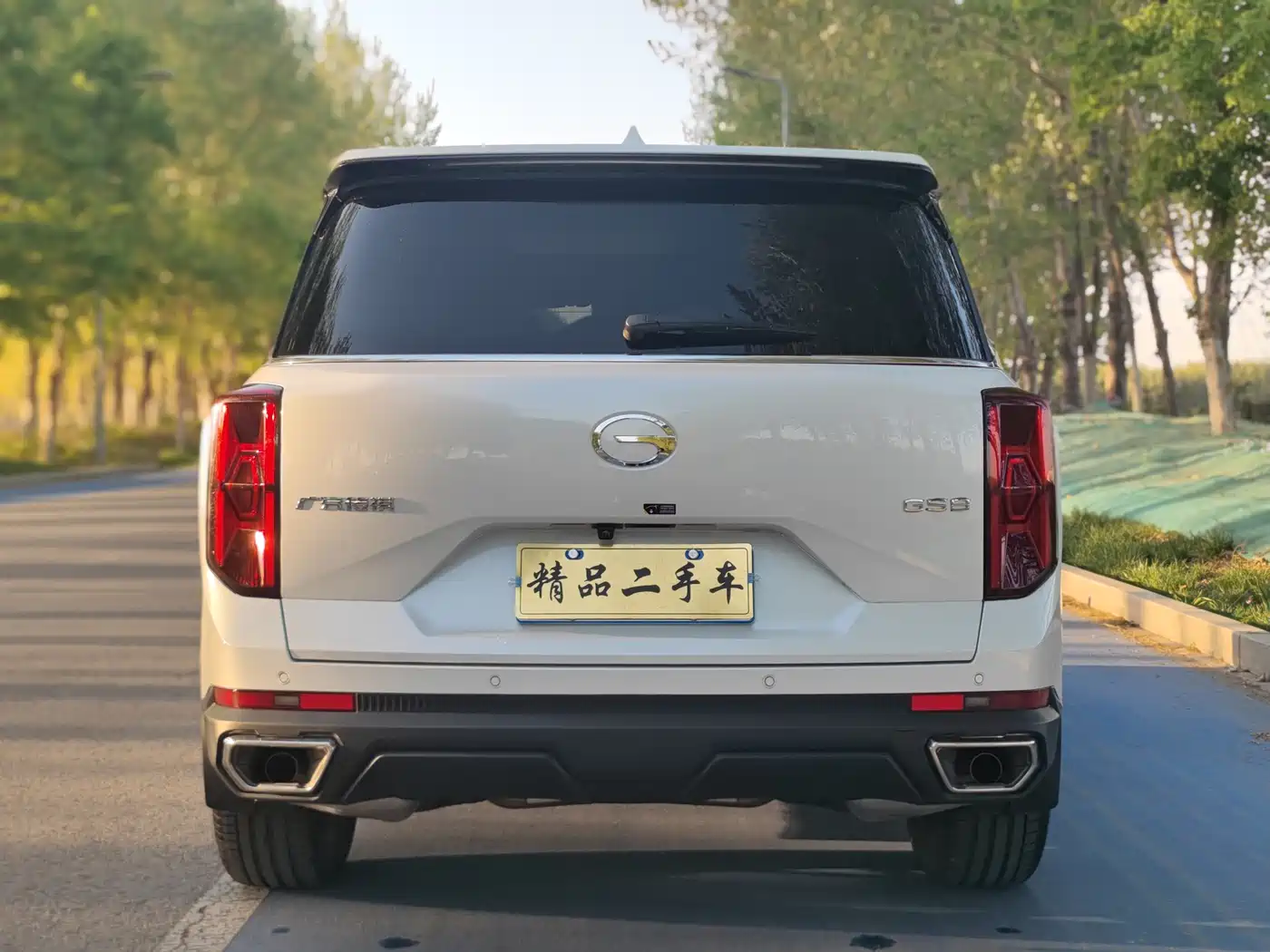GAC TRUMPCHI GS8