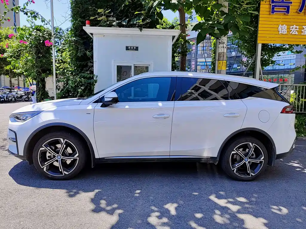 BYD Tang New Energy 2021 DM 2.0T 4WD Performance Premium 3
