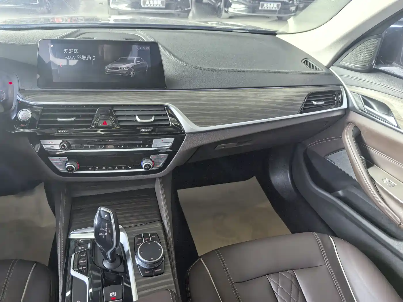 BMW 5 Series 2019 530Li Leading Luxury Package фото 15