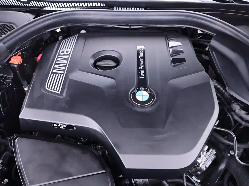 BMW 5 Series 2020 Model 530Li Executive Luxury Package фото 25