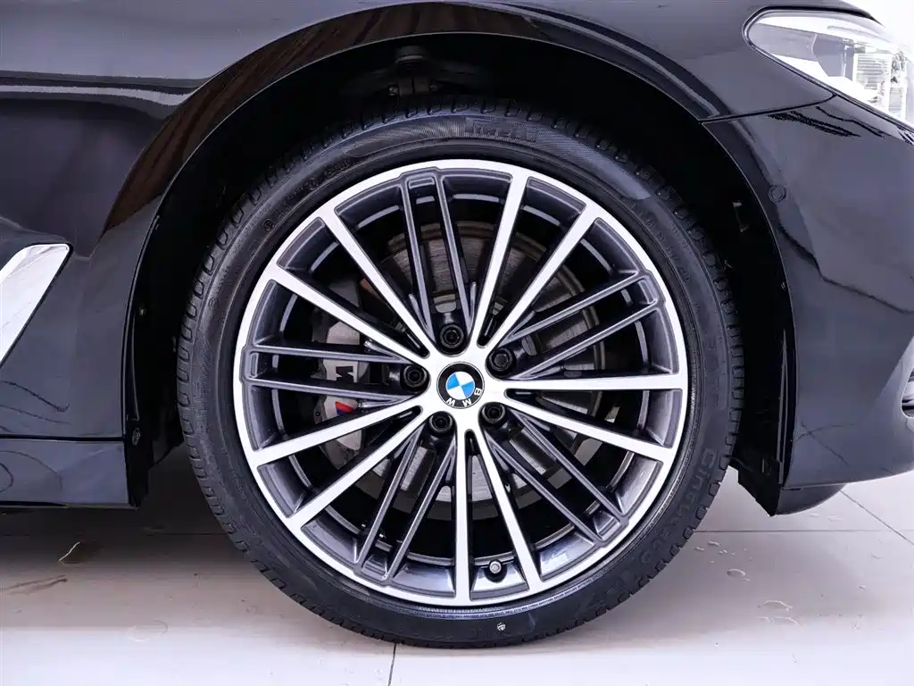 BMW 5 Series 2020 Model 530Li Executive Luxury Package фото 6