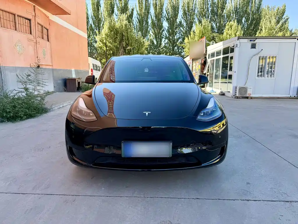 Фото 3 - Tesla Model Y
